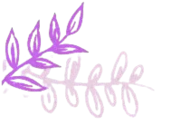 Planta decorativa direita